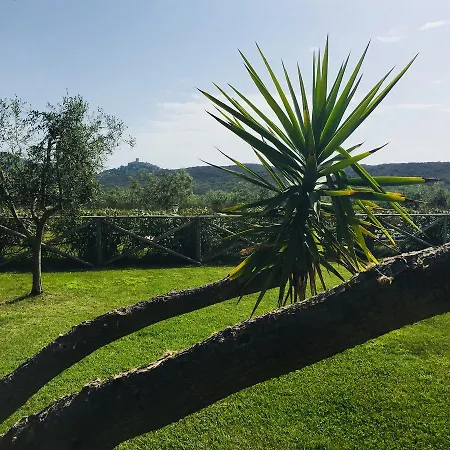 Agriturismo il Portico-3